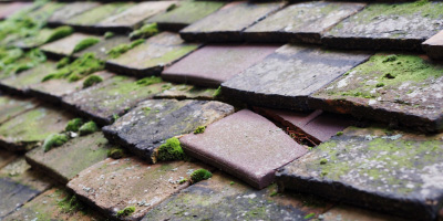 Bronwydd roof repair costs